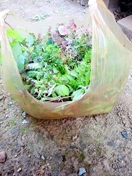 画像の説明 画像の説明