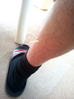 画像の説明 画像の説明