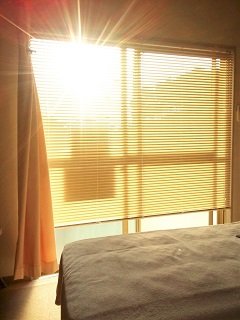 画像の説明 画像の説明