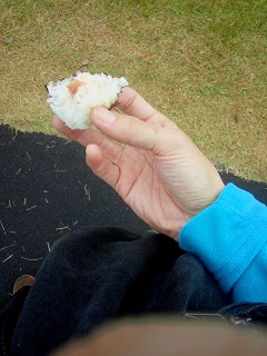 画像の説明 画像の説明