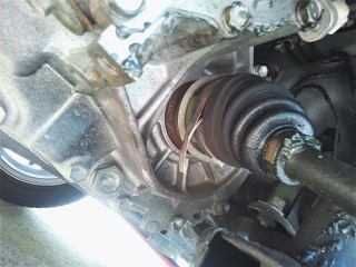 画像の説明 画像の説明